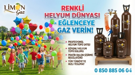 Basınç Göstergesi